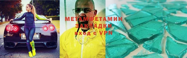 прущие грибы Верея