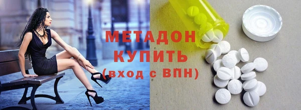 прущие грибы Верея