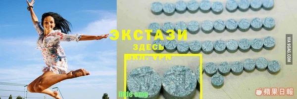 прущие грибы Верея