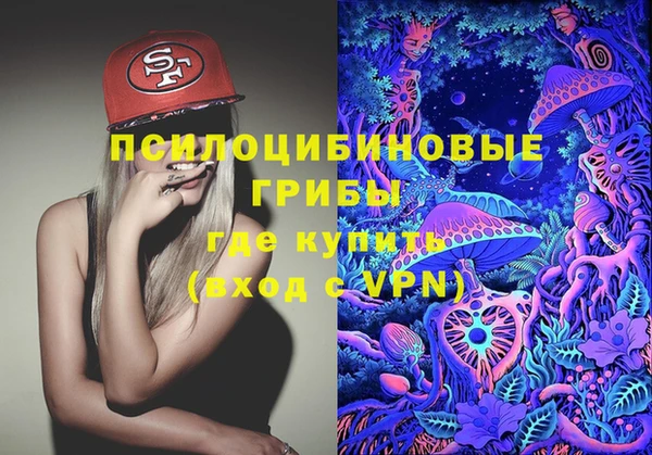 прущие грибы Верея