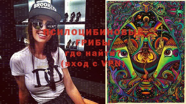 эйфоретик Верхний Тагил
