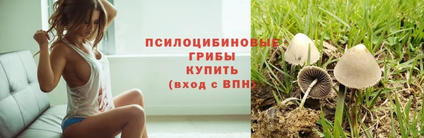эйфоретик Верхний Тагил