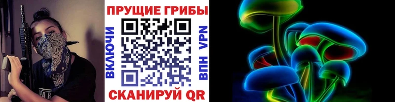 Псилоцибиновые грибы Psilocybine cubensis  Горячеводский 